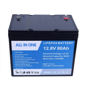 Lifepo4 Lithium Ion Accu 12v 80Ah