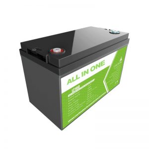 ALLES IN ÉÉN Lifepo4 12v 100ah lfp-batterij voor Marine Boot Rv Caravan