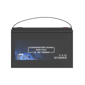 BMS ingebouwde LiFePO4 12V 100Ah batterij met lange levensduur