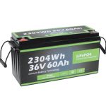 Factory Outlet Safety Design Long Life Marine 36v 60ah batterij Lifepo4