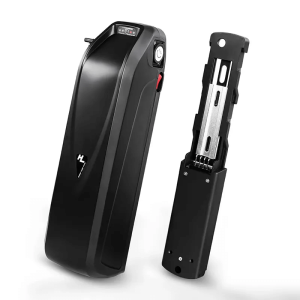 Hailong elektrische scooter ebike accu 48V 15Ah